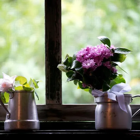 Hotel Quinta Do Valle *