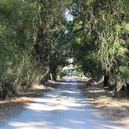 Quinta Do Valle Hotel Tomar