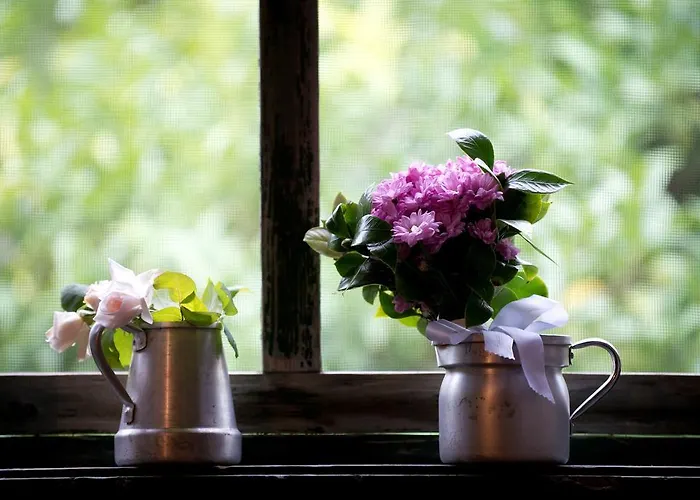 Hotel Quinta Do Valle *