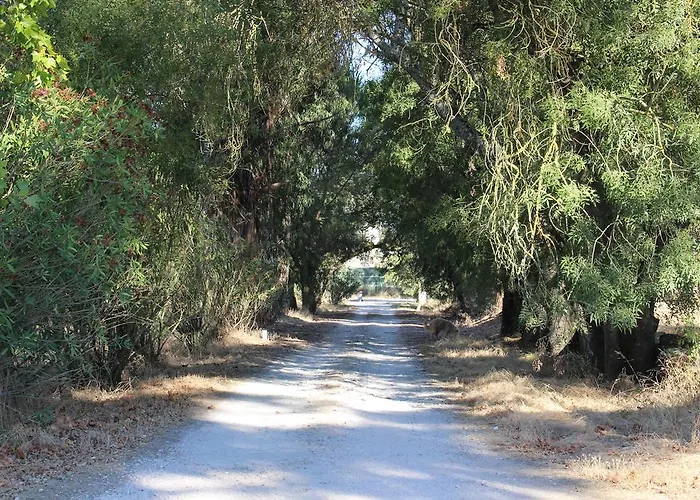 Quinta Do Valle Hotel Tomar