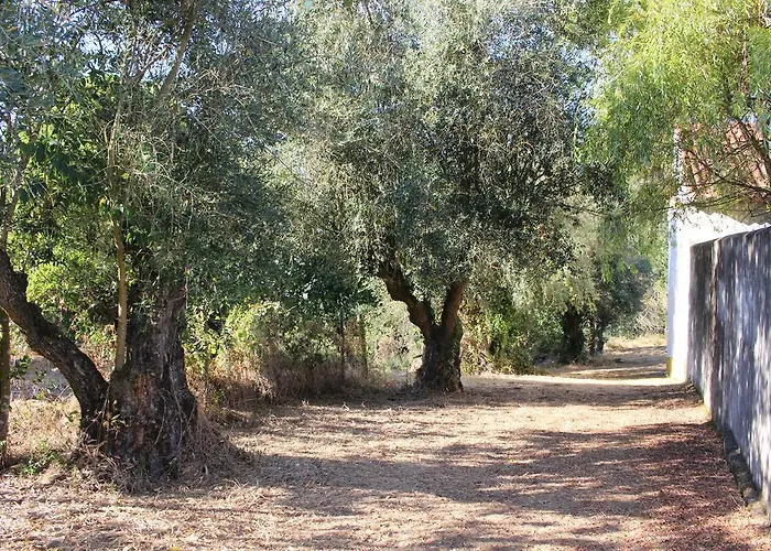 Quinta Do Valle * Tomar