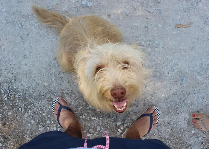 Hotel Quinta Do Valle